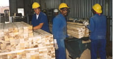Camp Ottawa Sawmill Operations