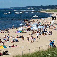 Beach Scenic Beach Scenic