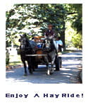 Members Enjoy A HayRide Activity