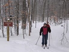 Nature Trail
