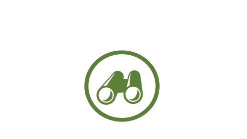 wildlife observation icon
