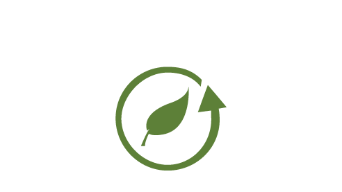 restore and cleanup icon