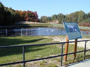 Photo of effluent pond