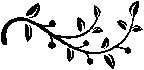 Vine Curl