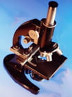 microscope