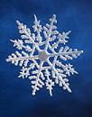 Picture of a snow flake