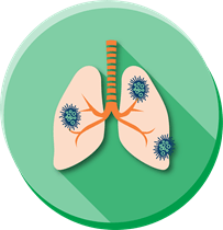 a picture of lungs