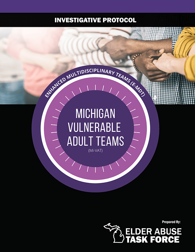 Mi-VAT report cover image