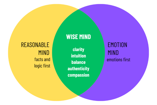 A three colored circle diagram (yellow - reasonable mind, green - wise mind, and purple - emotion mind)  Reasonable mind - facts and logic first Wise mind - clarity, intuition, balance, authenticity, and compassion Emotion mind - emotions first