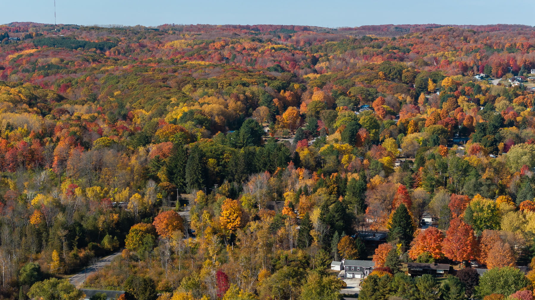 A colorful overhead view of trees in the fall.