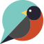 Robin COVID Questions Chatbot