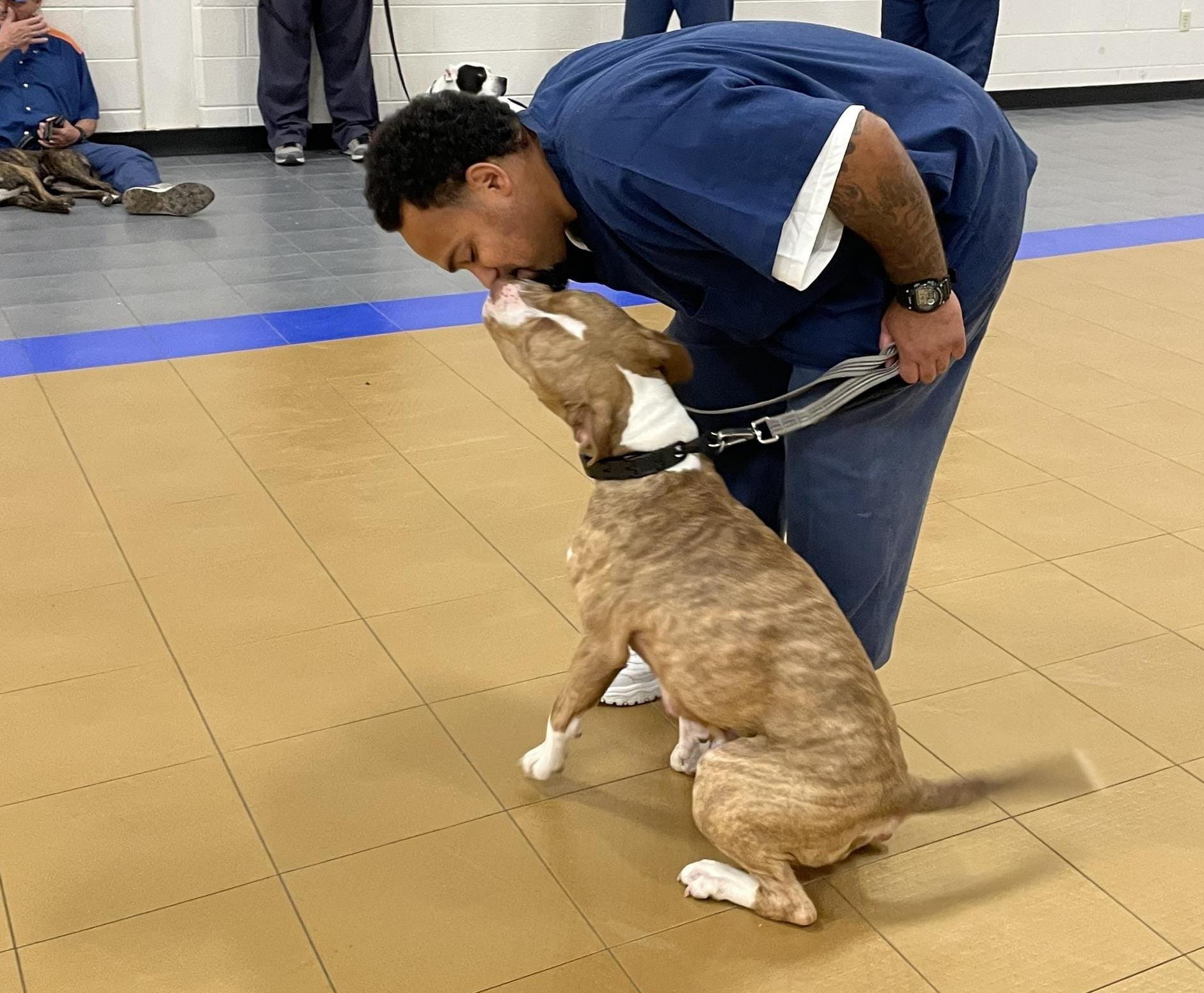Image of an MDOC prisoner kissing a shelter dog he is training