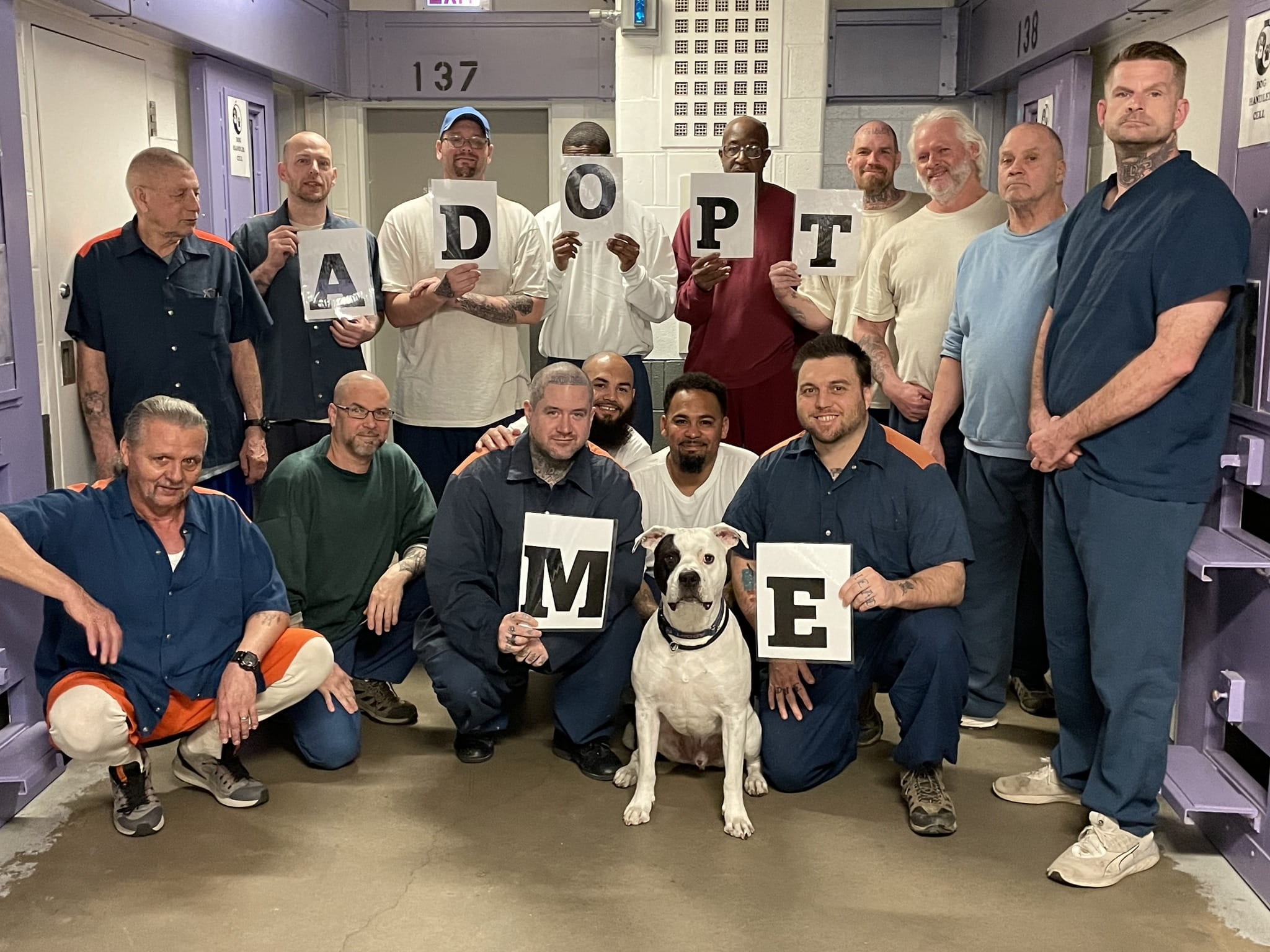 Prisoners post with shelter dogs and with signs that says "Adopt Me"
