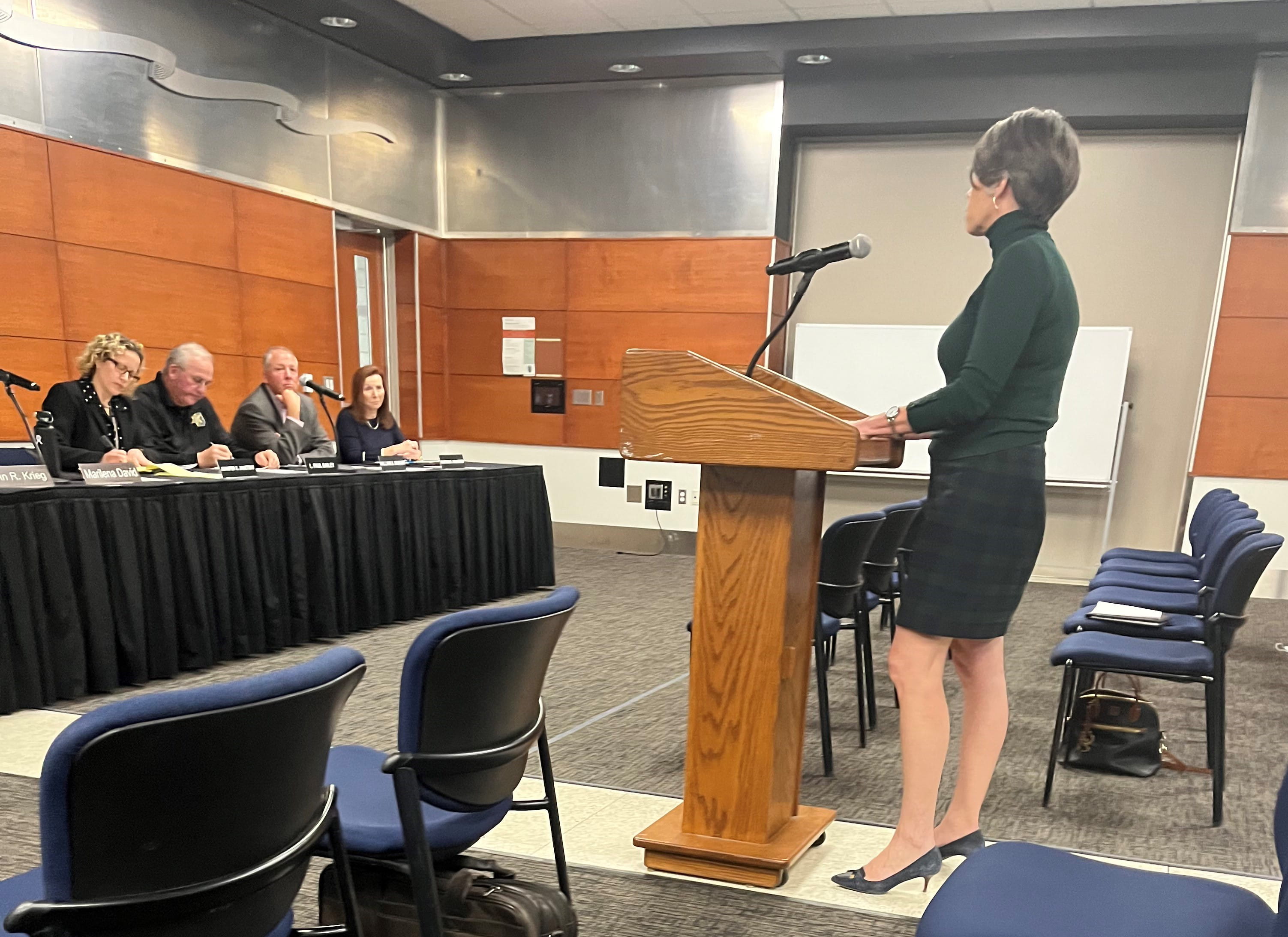 An image of a woman addressing the Board Members