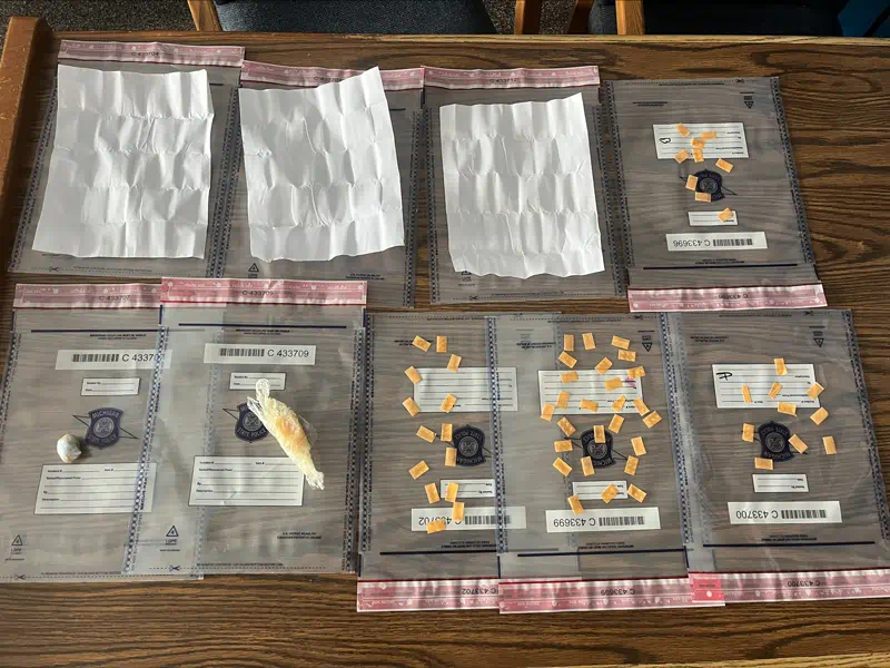 A table with several plastic bags arranged in rows with various substances placed on top of each bag.