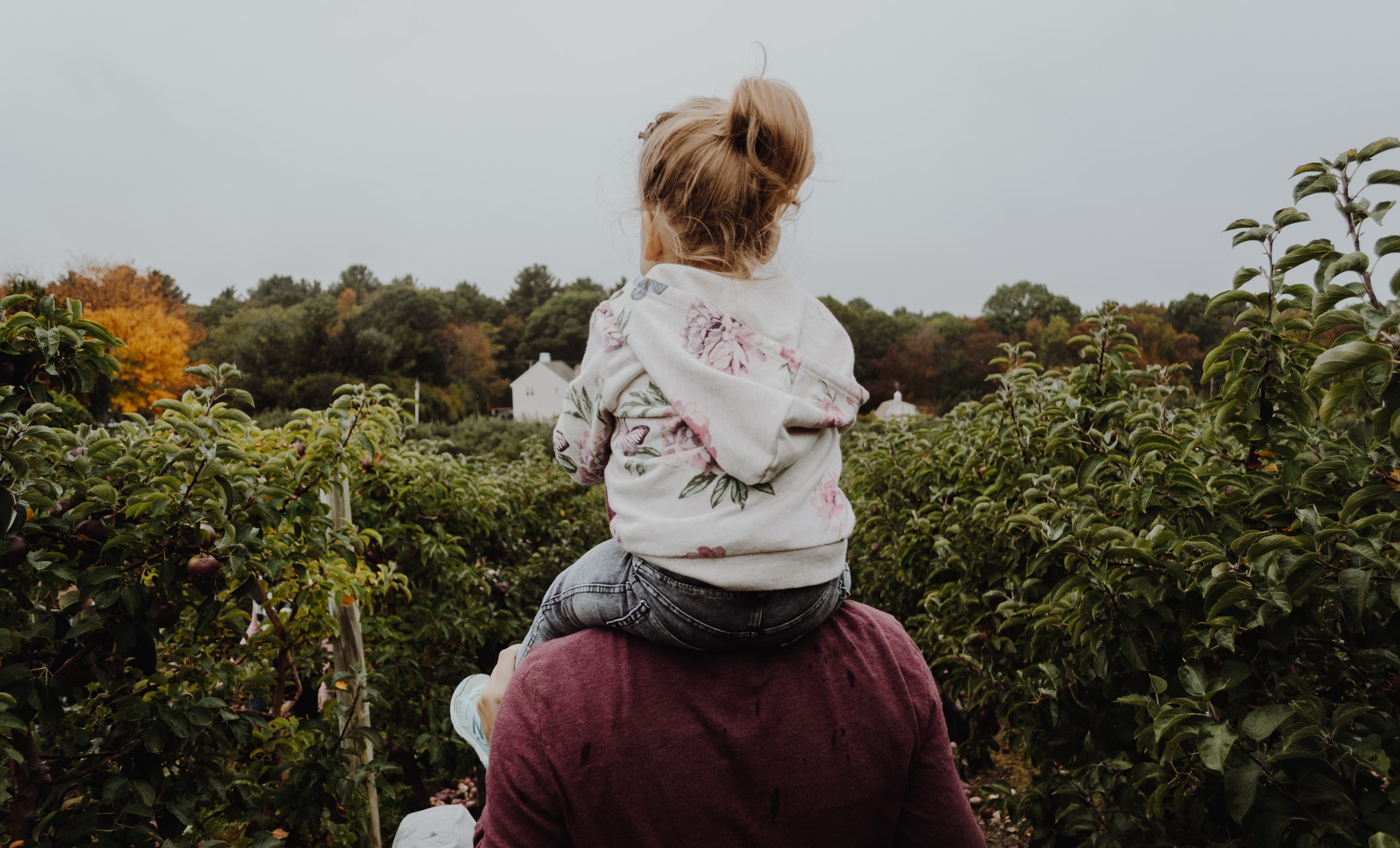 Photo of a little girl on her father's shoulders