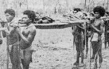 Burmese evacuation Michigan Guard wounded.