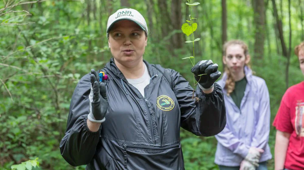 A DNR staff person holds up a plant to talk about it with people who are in the background