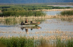 Boat in wetlands