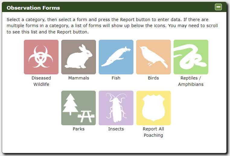 Screenshot of Eyes in the Field application forms area