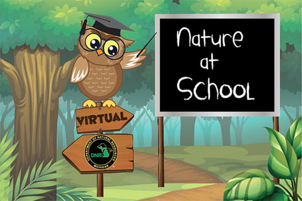 An owl sits on a signpost reading Virtual pointing to a sign reading Nature at School