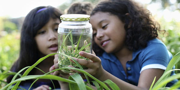 girls looking in bug jar