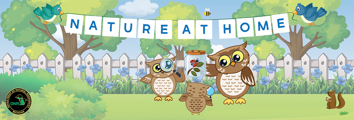 Nature at home banner