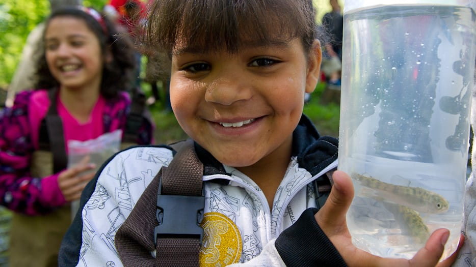 child holding salmon fry in a bag before release