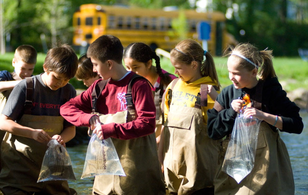 Children releasing salmon in the water with a school bus in background