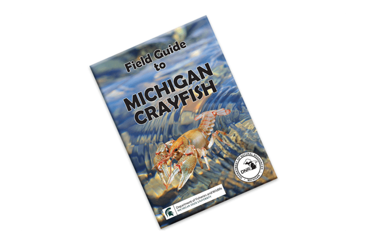 crayfish identification guide cover