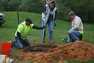 three people planting a tree