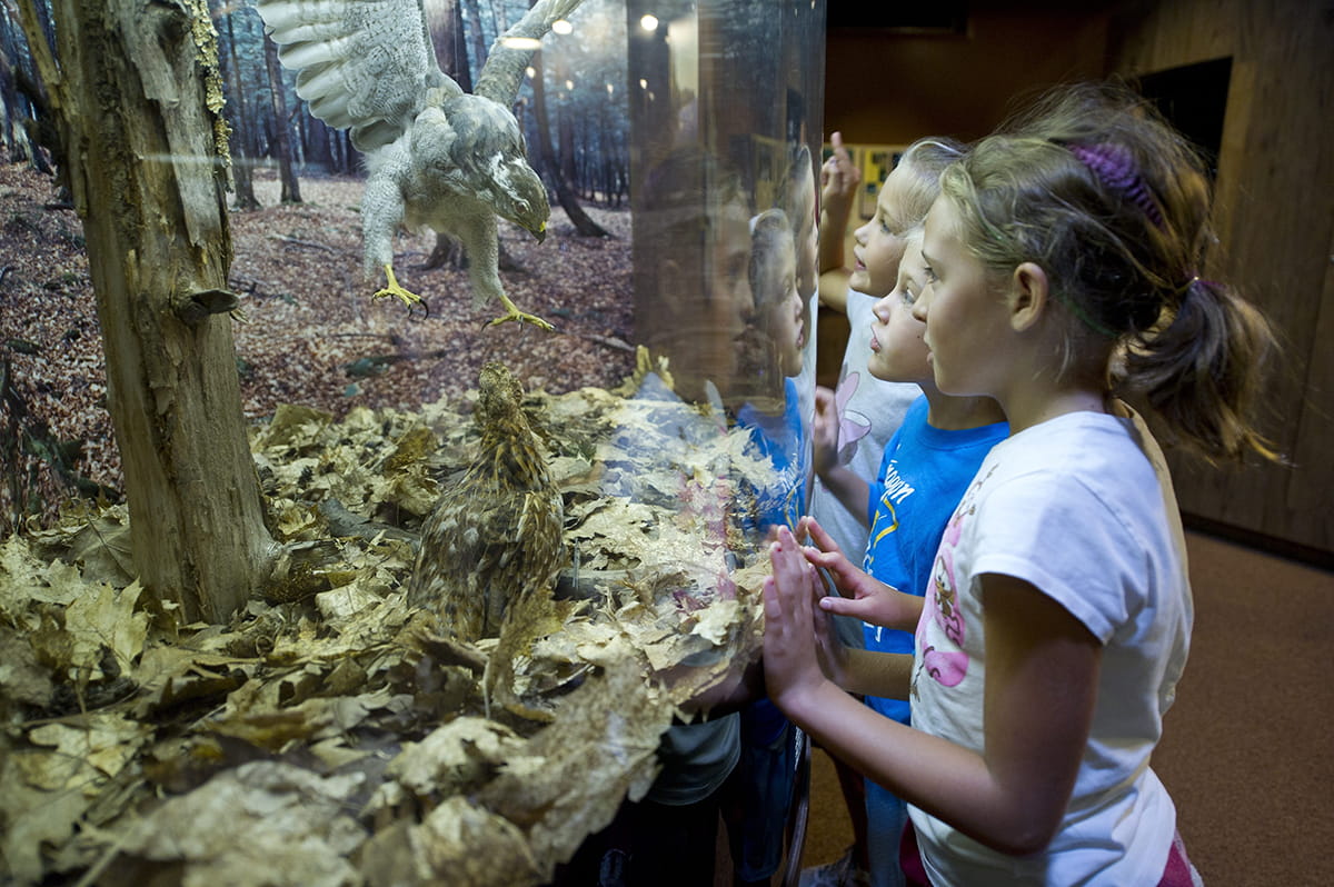 Students looking at a display. 