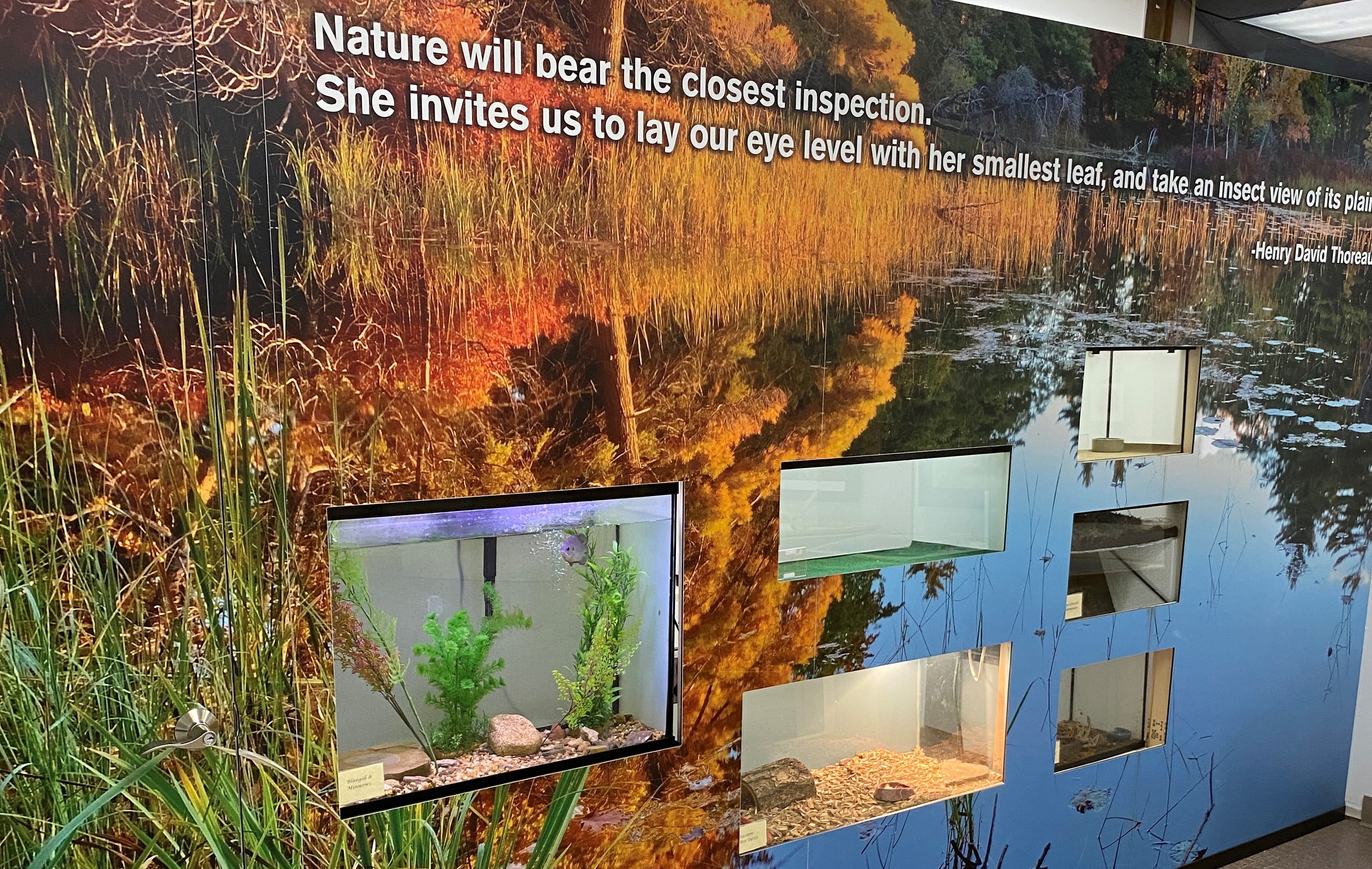 The critter wall at the Eddy Discovery Center