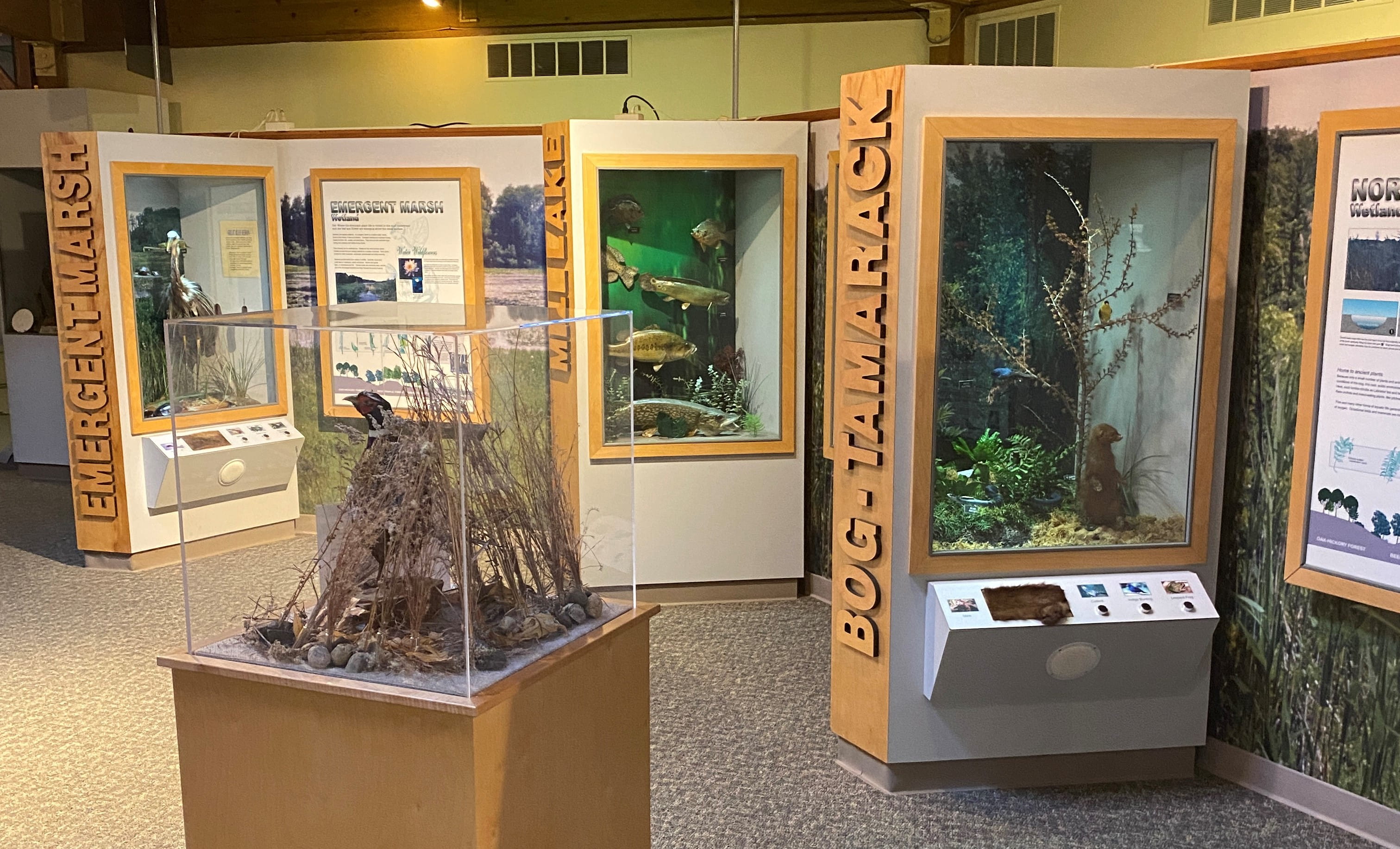 Exhibits at Eddy Discovery Center