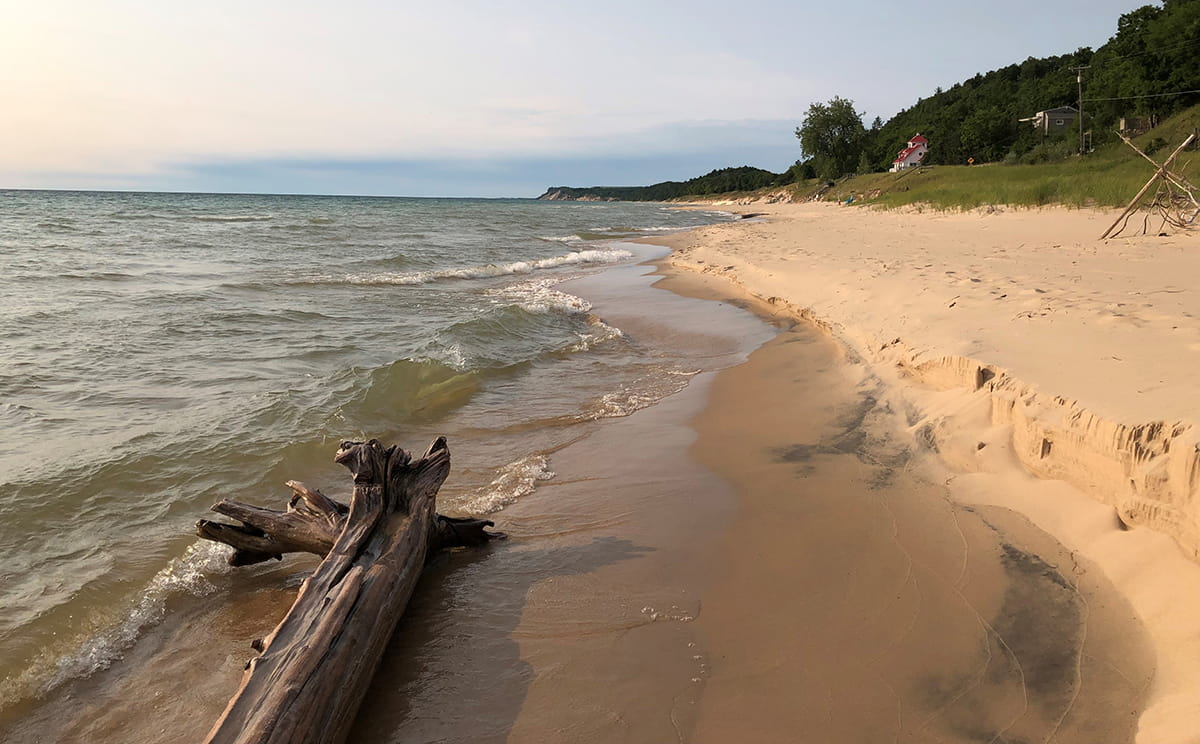 beautiful beach with driftwood