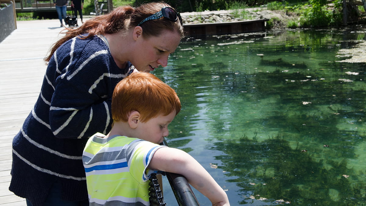 woman and child look at trout in the show pond