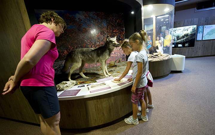 Visitors view exhibits in the Visitor Center