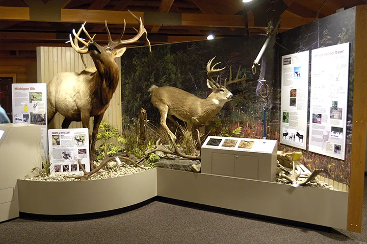 Carl T Johnson exhibit hall