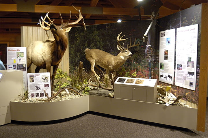 Carl T Johnson exhibit hall