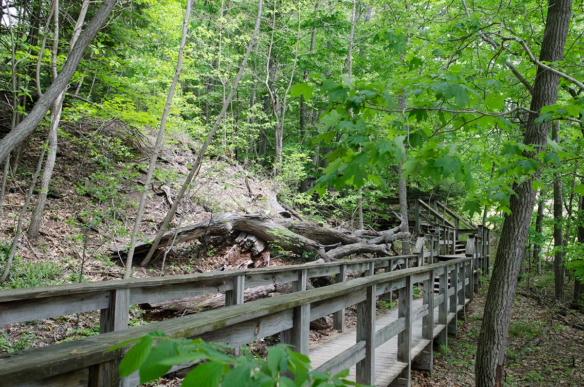 dune stairway at hoffmaster