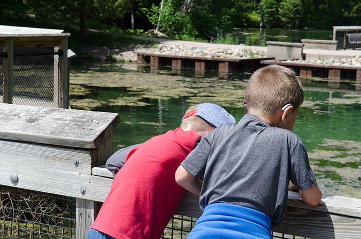 Two boys are looking into a fish pond at Oden Visitor Center