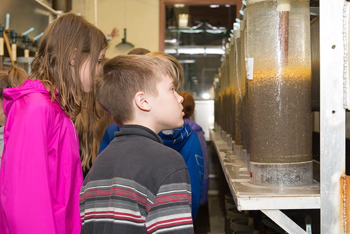 Wolf Lake State Fish Hatchery Visitor Center wolf-lake-state-fish-hatchery-visitor-center