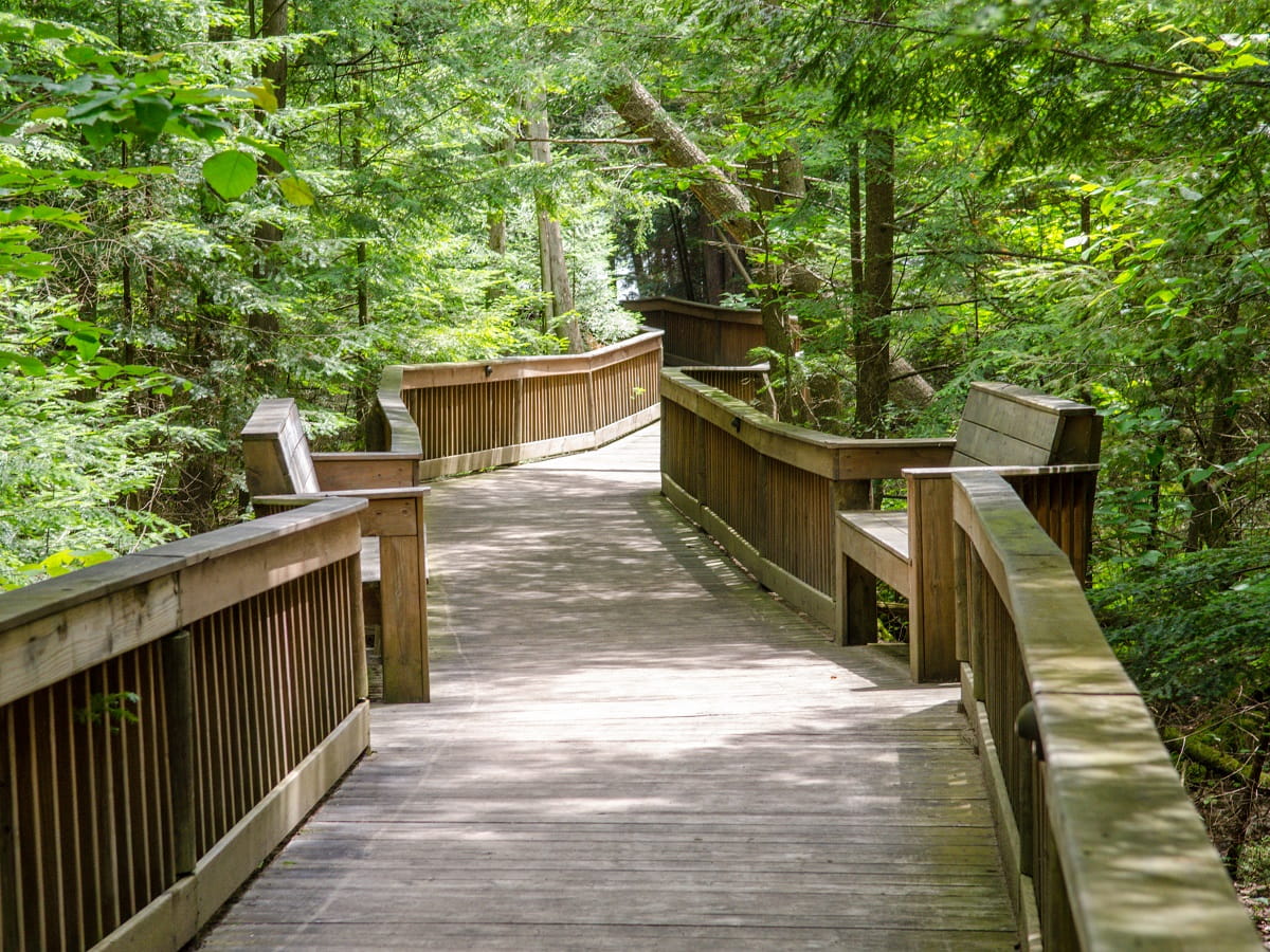  RAM Center boardwalk