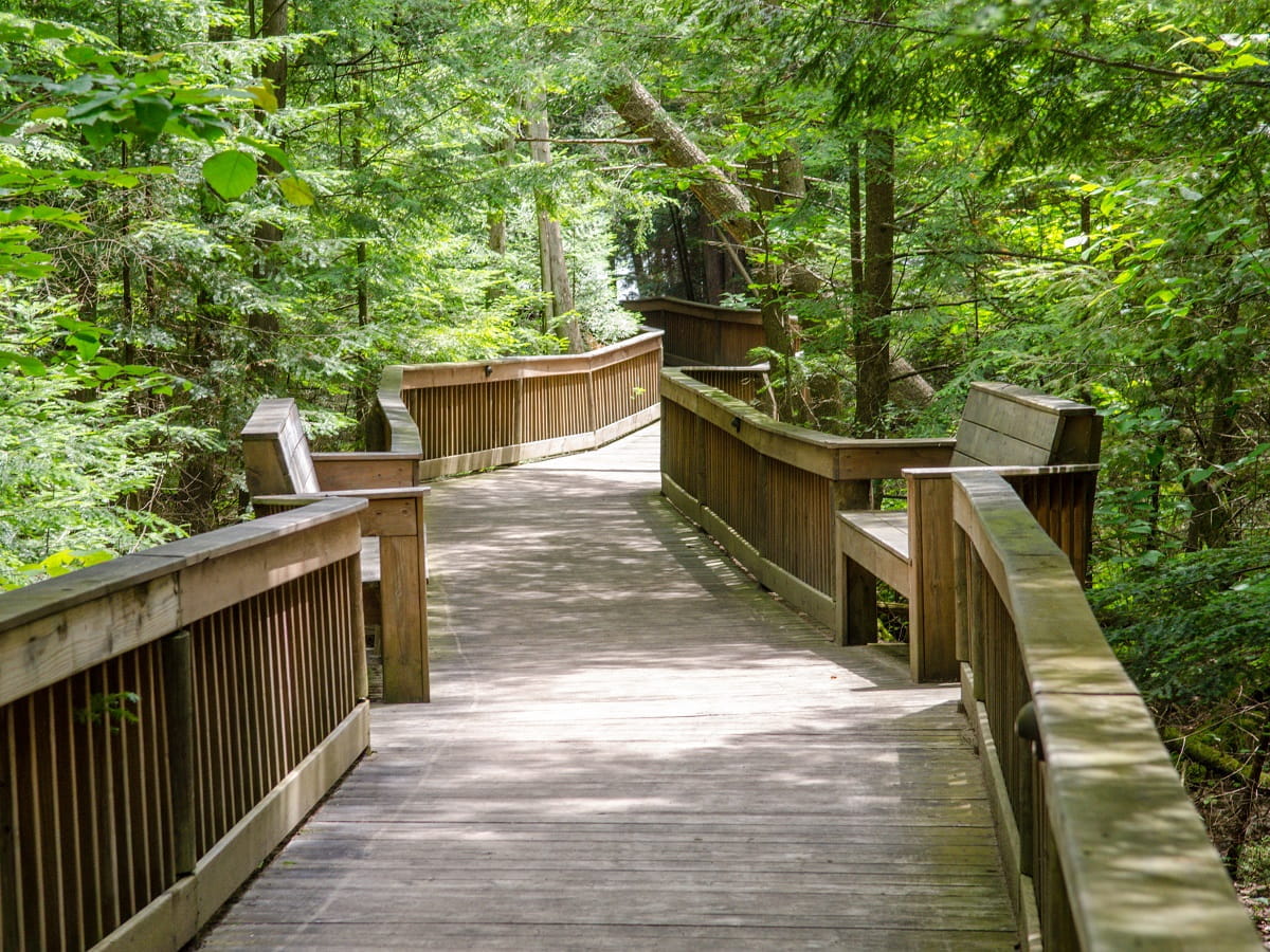  RAM Center boardwalk