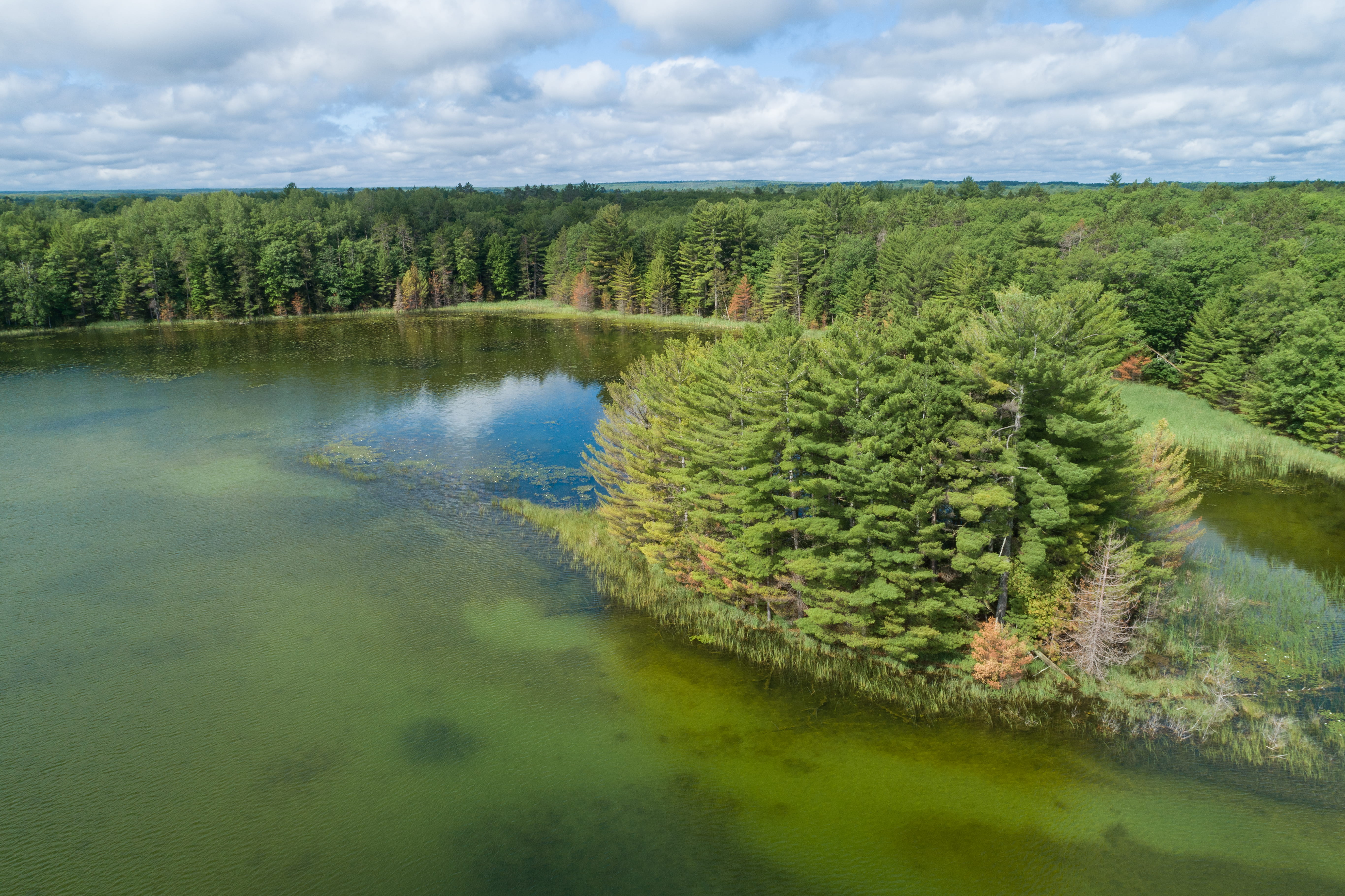 Green and blue water with evergreen surrounding the water's edge on the property