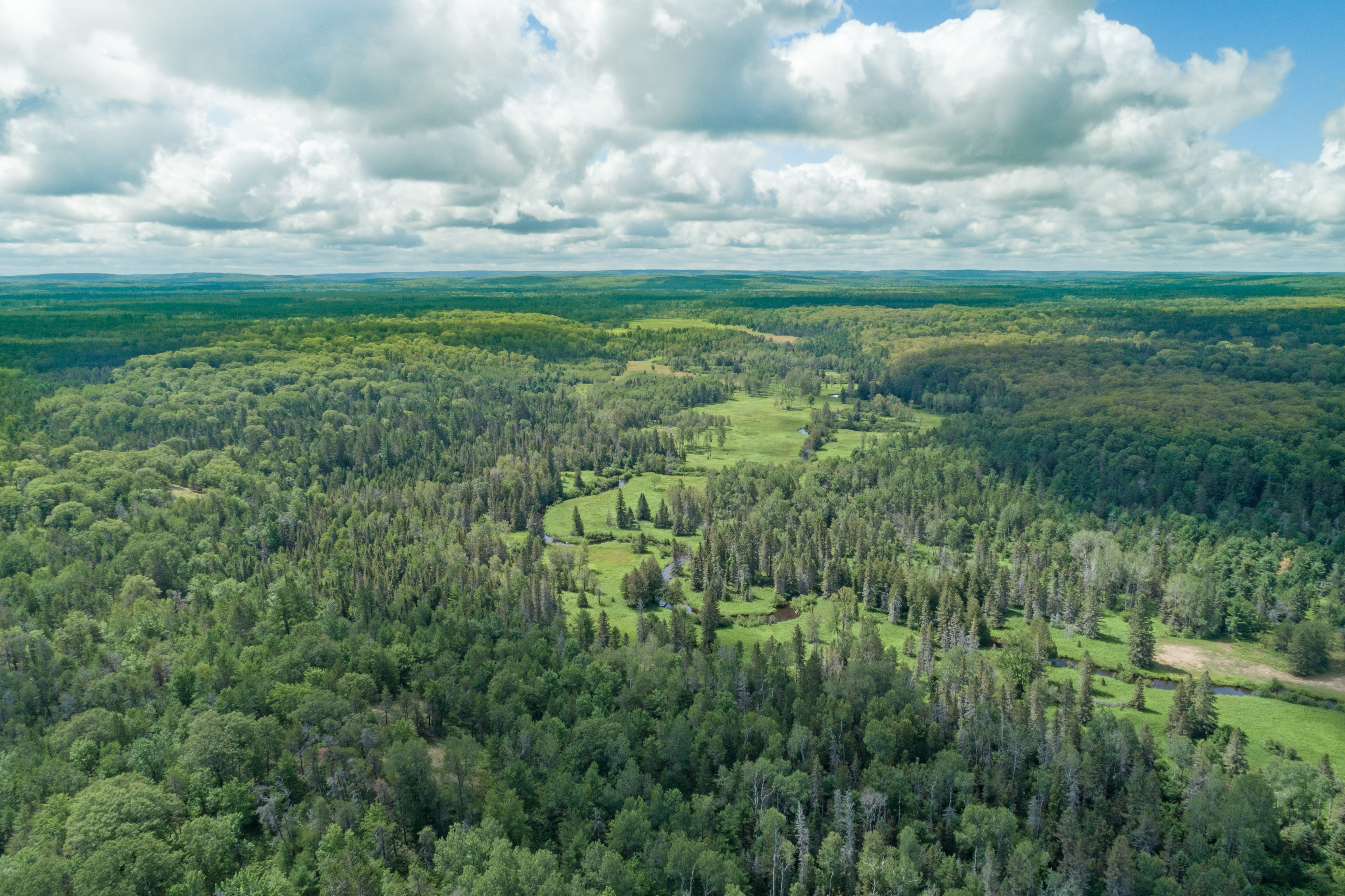Aerial view of black river ranch forest area