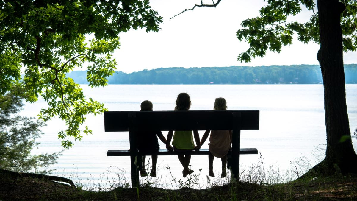 Three children sit on a park bench surrounded by urban trees, forest