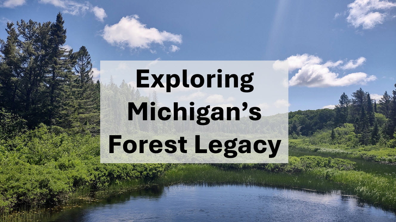 View the forest legacy storymap