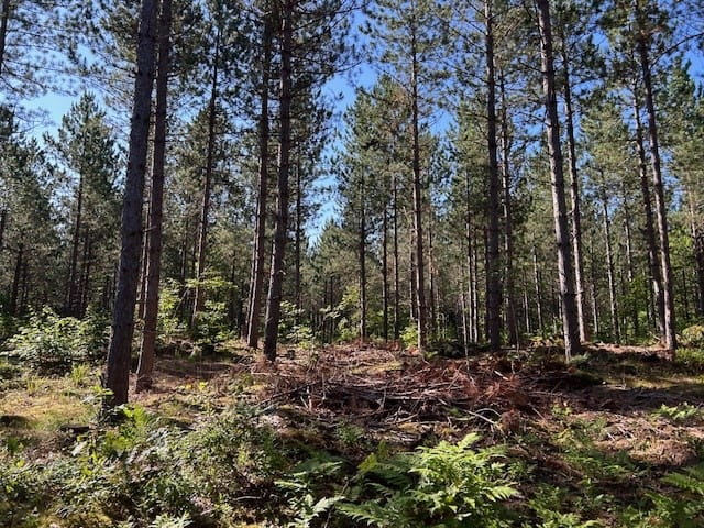 Mengee Creek property