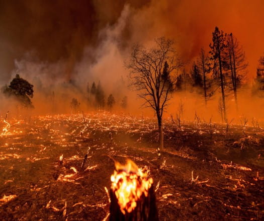 Wildfire burning with orange hue and smoke apparent